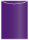 Purple Jacket Invitation Style A4 (3 3/4 x 5 1/8) - 10/Pk