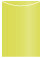 Lime Jacket Invitation Style A4 (3 3/4 x 5 1/8) - 10/Pk