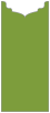 Iguana Jacket Invitation Style B1 (4 x 9) - 10/Pk