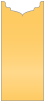 Amber Jacket Invitation Style B1 (4 x 9) - 10/Pk