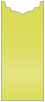 Lime Jacket Invitation Style B1 (4 x 9) - 10/Pk