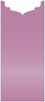 Punch Jacket Invitation Style B1 (4 x 9) - 10/Pk