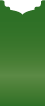 Botanic Jacket Invitation Style B1 (4 x 9) - 10/Pk
