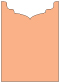 Ginger Jacket Invitation Style B2 (5 1/8 x 7 1/8) - 10/Pk