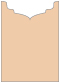 Latte Jacket Invitation Style B2 (5 1/8 x 7 1/8) - 10/Pk