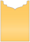 Amber Jacket Invitation Style B2 (5 1/8 x 7 1/8) - 10/Pk
