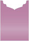 Punch Jacket Invitation Style B2 (5 1/8 x 7 1/8) - 10/Pk