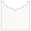 Bronze Jacket Invitation Style B3 (5 5/8 x 5 5/8) - 10/Pk