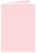 Pink Feather Landscape Card 2 1/2 x 3 1/2 - 25/Pk
