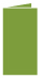 Iguana Landscape Card 2 x 4 - 25/Pk