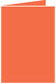 Electric Orange Landscape Card 3 1/2 x 5 - 25/Pk