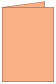 Ginger Landscape Card 3 1/2 x 5 - 25/Pk