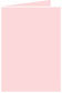 Pink Feather Landscape Card 3 1/2 x 5 - 25/Pk