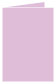 Purple Lace Landscape Card 3 1/2 x 5 - 25/Pk