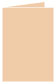 Latte Landscape Card 3 1/2 x 5 - 25/Pk