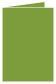 Iguana Landscape Card 3 1/2 x 5 - 25/Pk