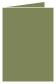 Cactus Landscape Card 3 1/2 x 5 - 25/Pk