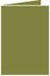 Olive Landscape Card 3 1/2 x 5 - 25/Pk
