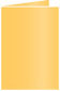 Amber Landscape Card 3 1/2 x 5 - 25/Pk