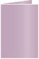 Violet Landscape Card 3 1/2 x 5 - 25/Pk
