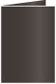 Onyx Landscape Card 3 1/2 x 5 - 25/Pk