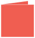 Coral Landscape Card 4 3/4 x 4 3/4 - 25/Pk