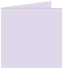 Lily Landscape Card 4 3/4 x 4 3/4 - 25/Pk