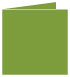 Iguana Landscape Card 4 3/4 x 4 3/4 - 25/Pk