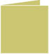 Tropical Green Landscape Card 4 3/4 x 4 3/4 - 25/Pk