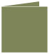 Cactus Landscape Card 4 3/4 x 4 3/4 - 25/Pk