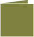 Olive Landscape Card 4 3/4 x 4 3/4 - 25/Pk