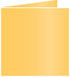 Amber Landscape Card 4 3/4 x 4 3/4 - 25/Pk