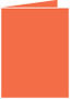 Electric Orange Landscape Card 4 1/4 x 5 1/2 - 25/Pk