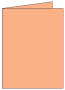 Ginger Landscape Card 4 1/4 x 5 1/2 - 25/Pk