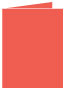 Coral Landscape Card 4 1/4 x 5 1/2 - 25/Pk