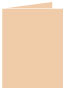 Latte Landscape Card 4 1/4 x 5 1/2 - 25/Pk