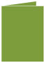 Iguana Landscape Card 4 1/4 x 5 1/2 - 25/Pk