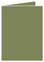 Cactus Landscape Card 4 1/4 x 5 1/2 - 25/Pk