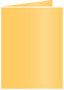 Amber Landscape Card 4 1/4 x 5 1/2 - 25/Pk