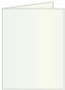 Metallic Aquamarine Landscape Card 4 1/4 x 5 1/2 - 25/Pk