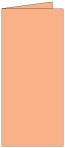 Ginger Landscape Card 4 x 9 - 25/Pk