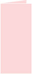 Pink Feather Landscape Card 4 x 9 - 25/Pk