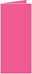 Raspberry Landscape Card 4 x 9 - 25/Pk