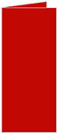 Firecracker Red Landscape Card 4 x 9 - 25/Pk
