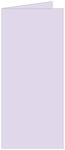 Lily Landscape Card 4 x 9 - 25/Pk