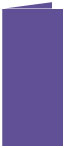Amethyst Landscape Card 4 x 9 - 25/Pk