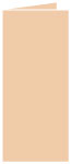 Latte Landscape Card 4 x 9 - 25/Pk