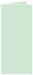 Green Tea Landscape Card 4 x 9 - 25/Pk