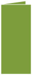 Iguana Landscape Card 4 x 9 - 25/Pk