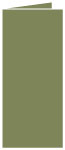 Cactus Landscape Card 4 x 9 - 25/Pk